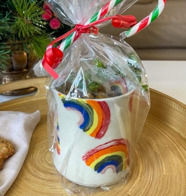 Toni – Rainbow Planter