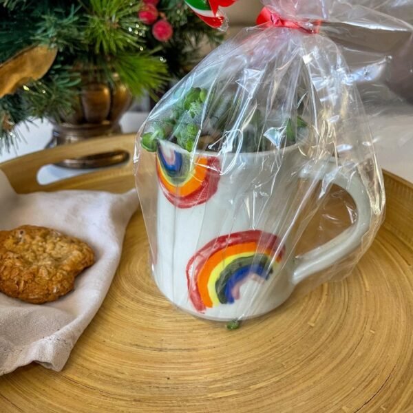 Toni – Rainbow Planter - Image 3