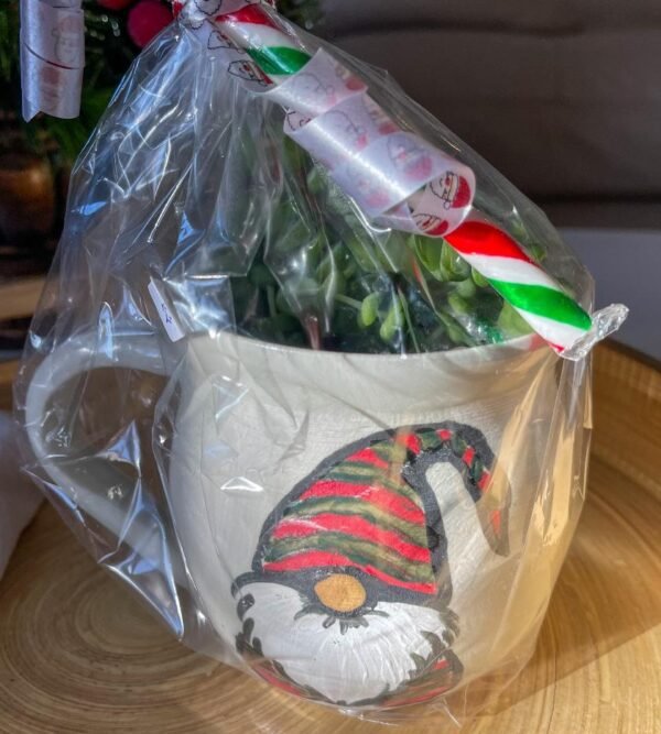 Toni – Gnome Planter (2)