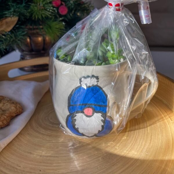 Toni – Gnome Planter (2) - Image 3