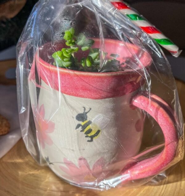 Toni – Bees & Flowers Planter (2)